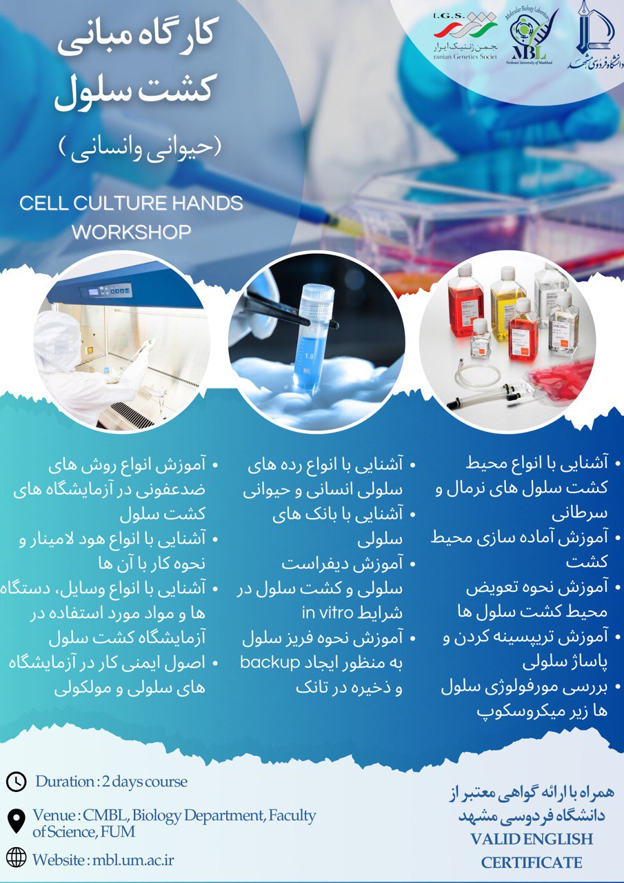 IMG 20241028 202741 381